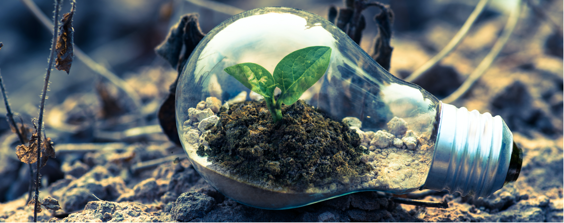 Sustainable-Sevelopment